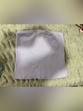 American Eagle Outfitters Lilac Ribbed Crop Tube Top